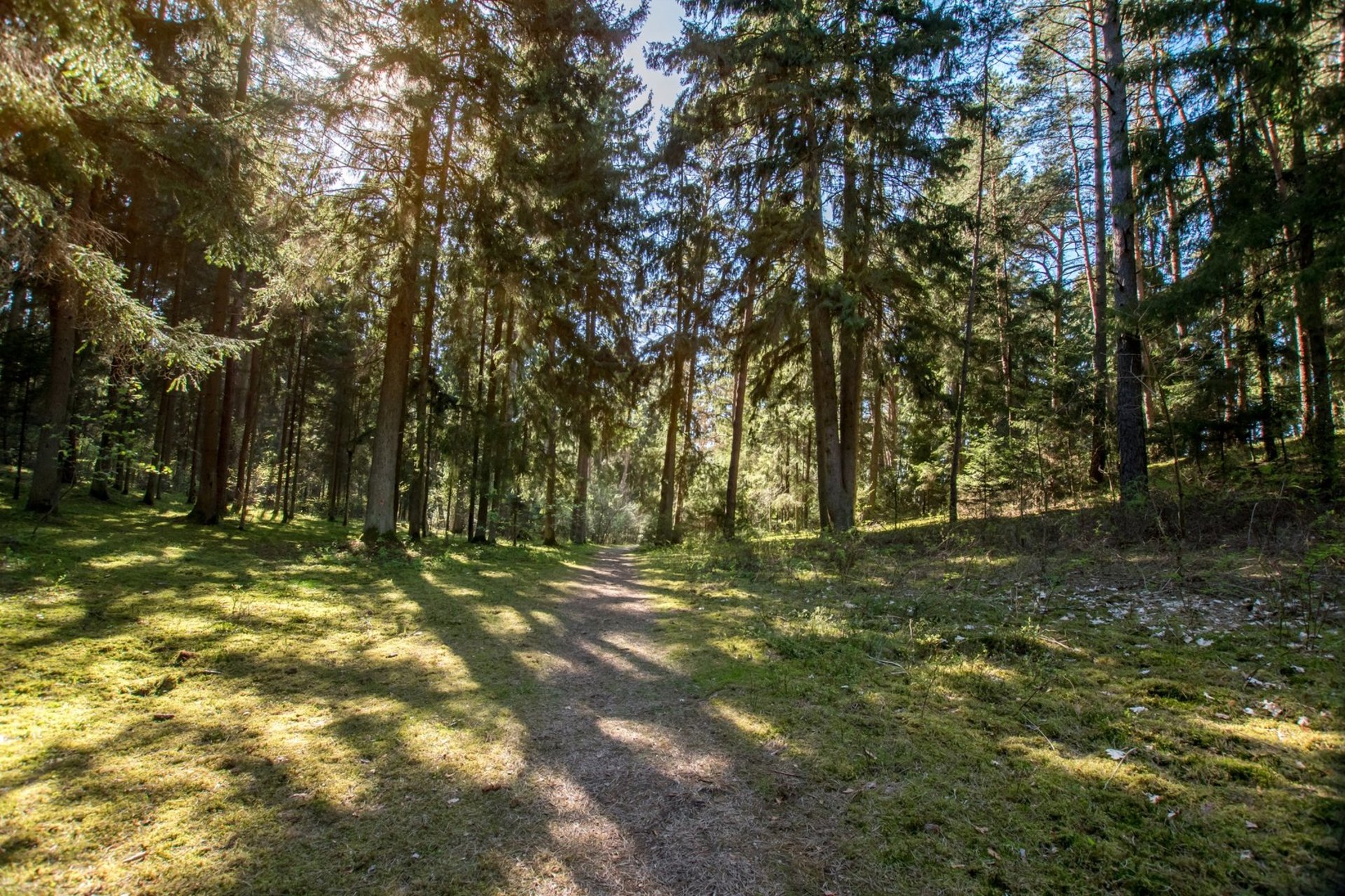 Šaltinių takas Kačerginėje