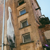 Spacious and Affordable Homes