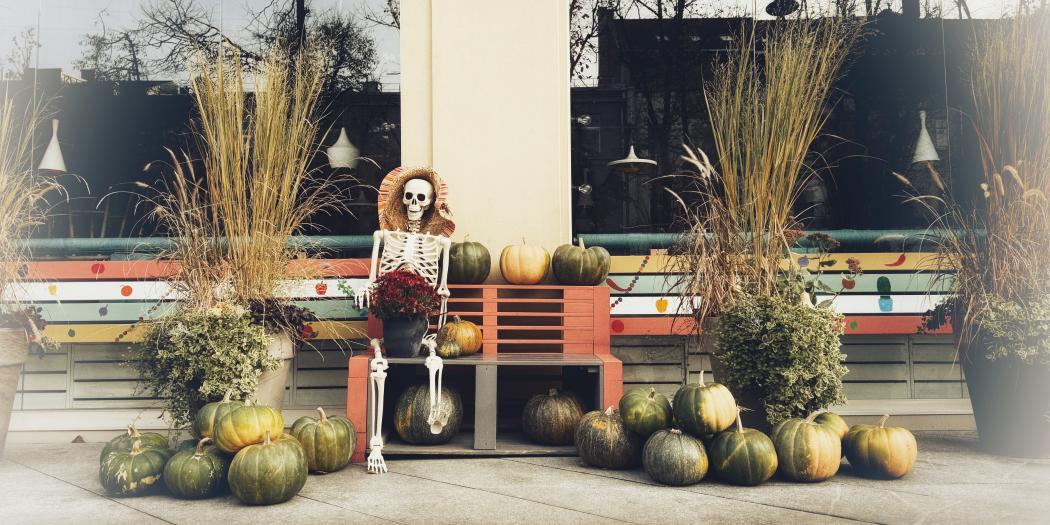 Kaune temsta: ką siaubingai įdomaus nuveikti spalio ir lapkričio sandūroje?