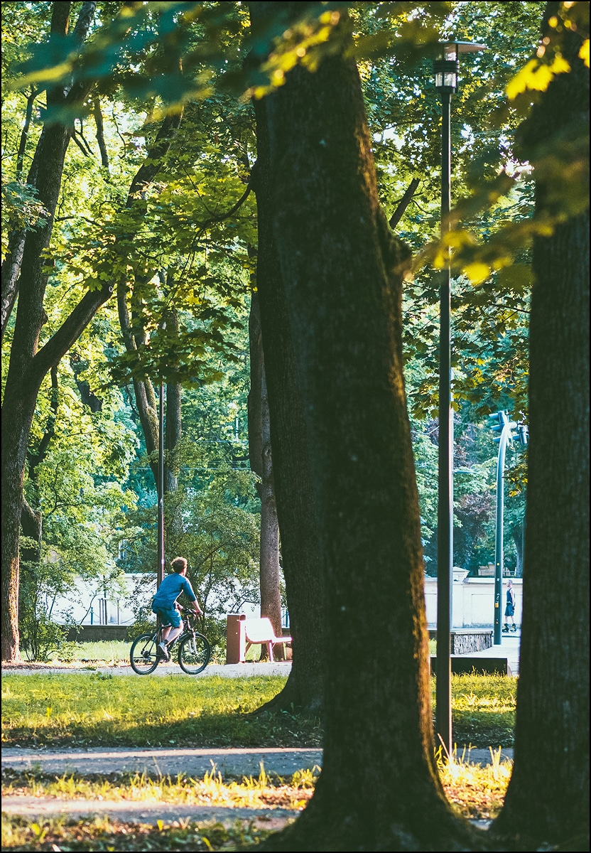 Nature in Kaunas