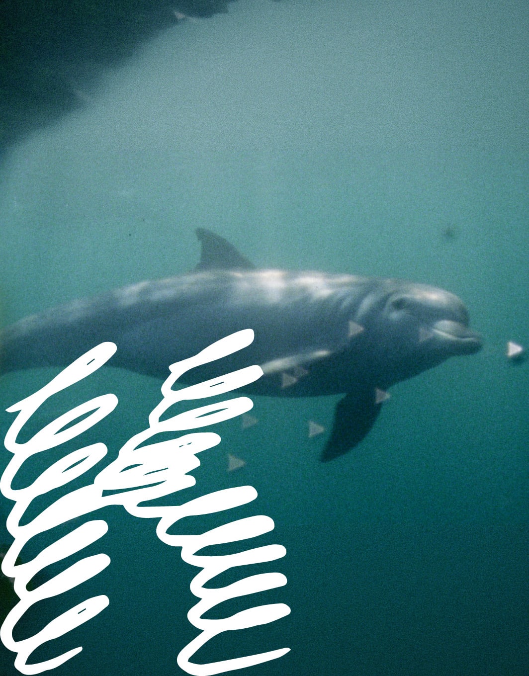 Kino pavasaris: MIESTO ŽMOGUS IR SUPER GAMTA