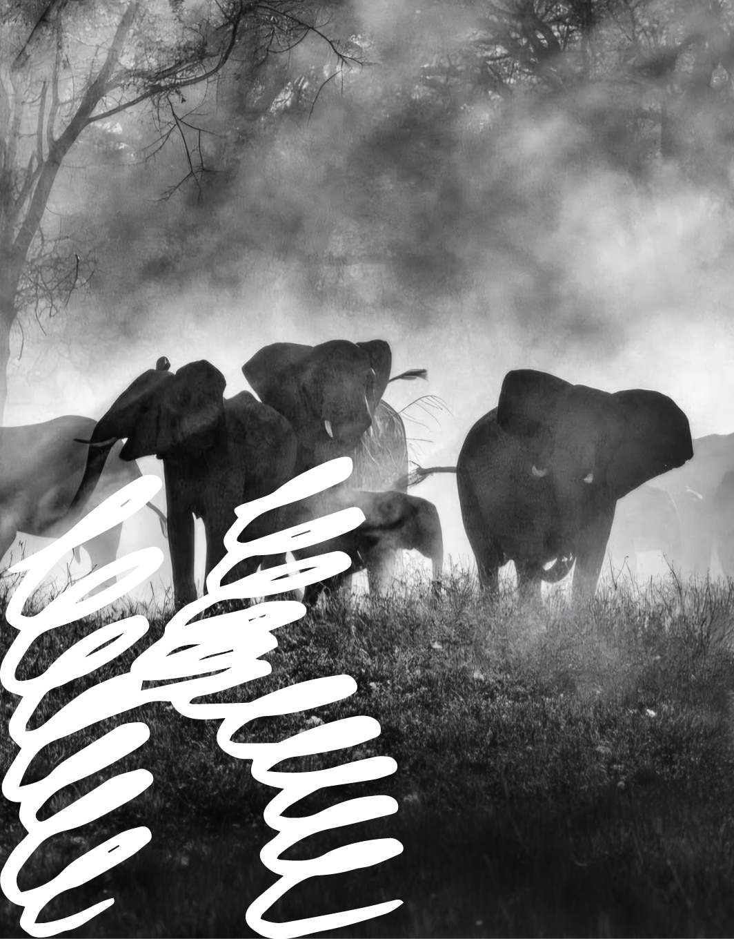 Kino pavasaris: ĮKVĖPK RAMYBĖS MIESTE